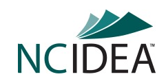 NCIDEA