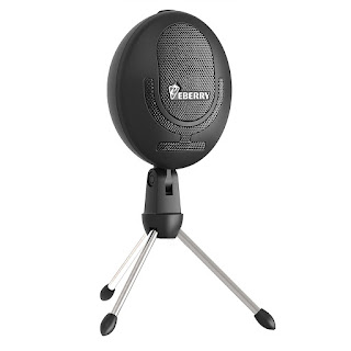 eBerry Cobblestone Microphone