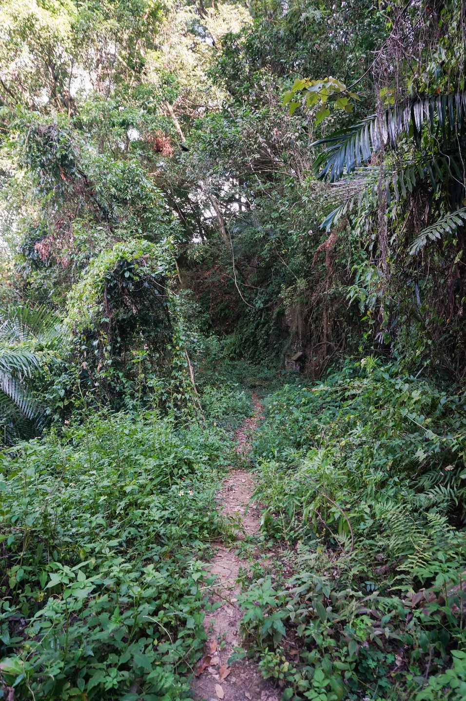 泰安登山步道