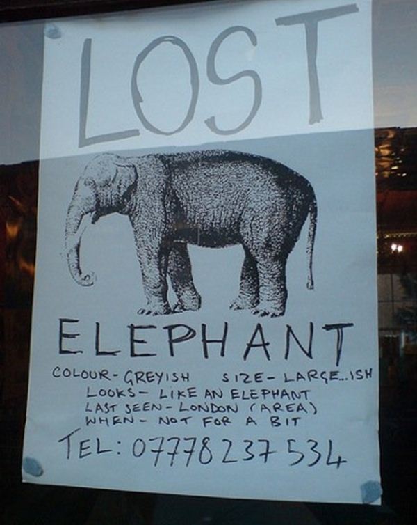 Funny Lost and Found Signs, funny missing signs, funny missing posters ...