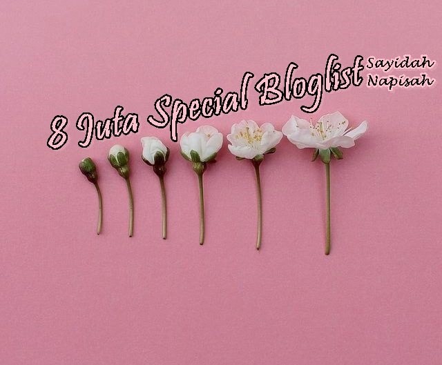 8 Juta Special Bloglist Sayidah Napisah!