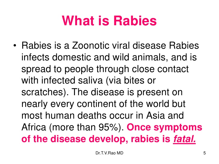Fakta Tentang Rabies - Kongxie  Kongsi Artikel Dan Berita 