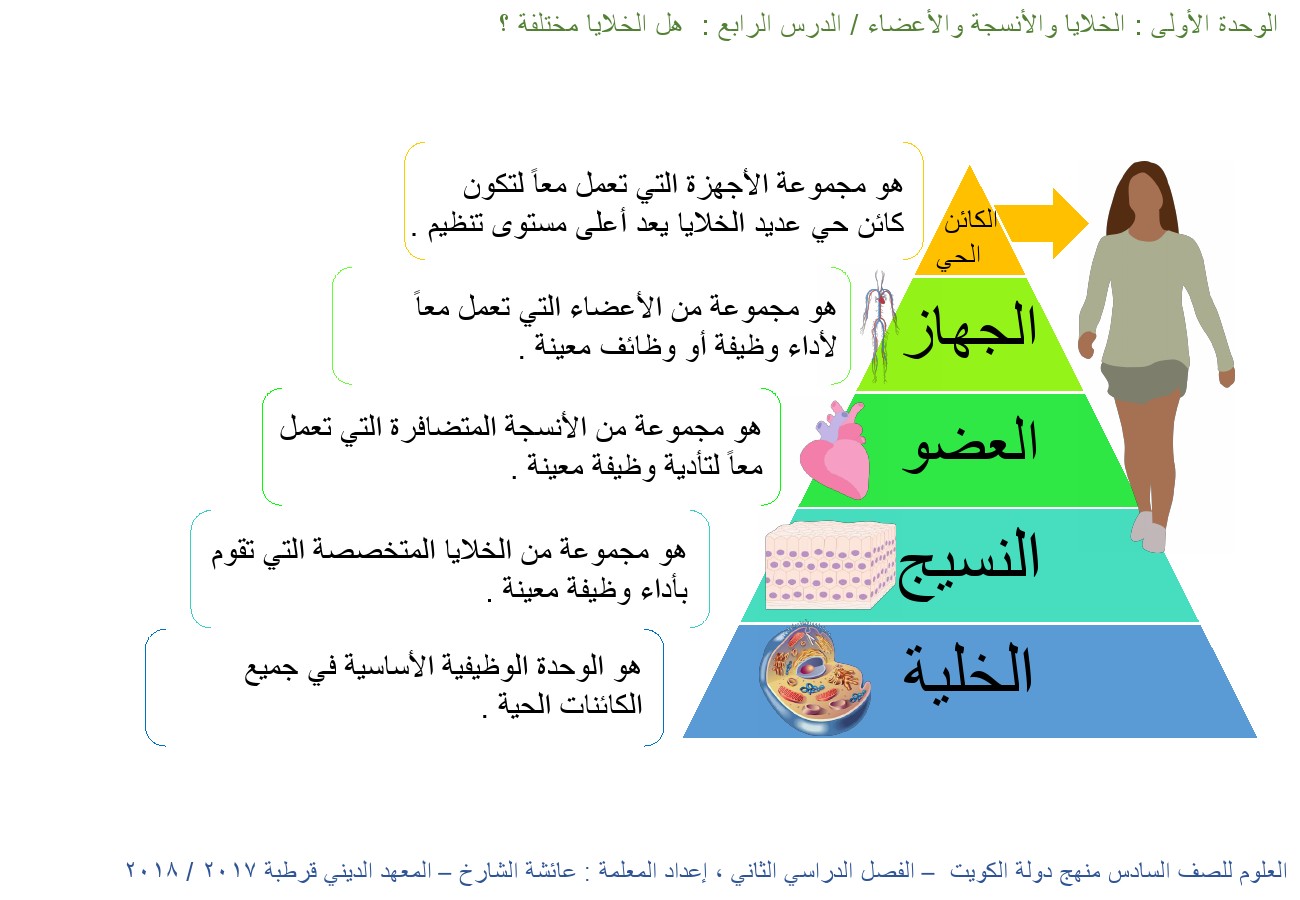 انفوجغرافيك الصف السادس علوم الفصل الثاني المناهج الكويتية