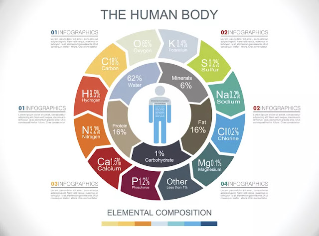 وفرة العناصر في جسم الأنسان  The abundance of elements in the human body