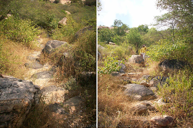 Uthiyur Hills