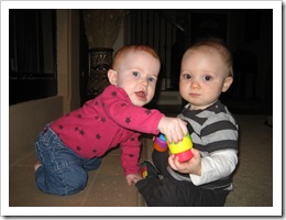 Ava is schooling Reid on "what's mine is mine."  Luckily, he's a lover (not a fighter) and adores Ava (and her toys)!