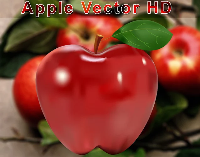 Apple Vector Image