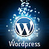 WordPress Developers Sydney:  Effective WordPress hosting websites