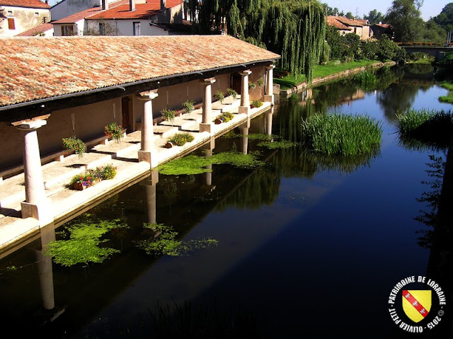 GONDREVILLE (54) - Village - Lavoir XIXe