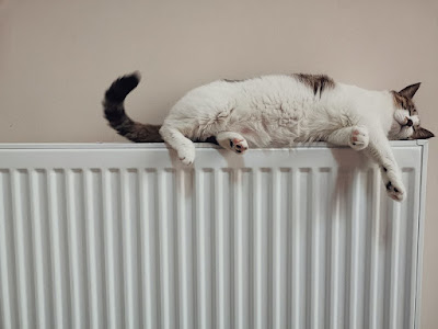 Cat lying asleep on radiator