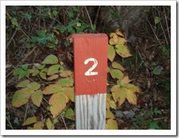 Hockomock 022