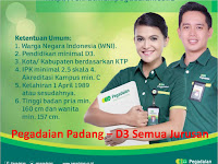 Pegadaian Padang - D3 Semua Jurusan