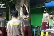 Peduli Lingkungan di Hari Pohon, Siswa Bintara Polri Razia Paku di Tuban