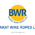 Bharat Wire Ropes Report Q4 Earnings 35.6% Surge in Net Profit