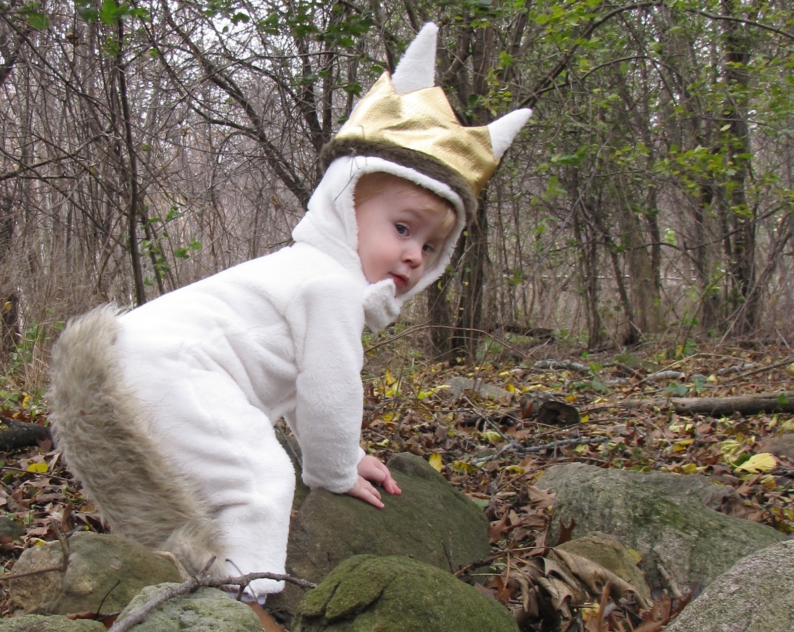 Where The Wild Things Are Max Costume Diy