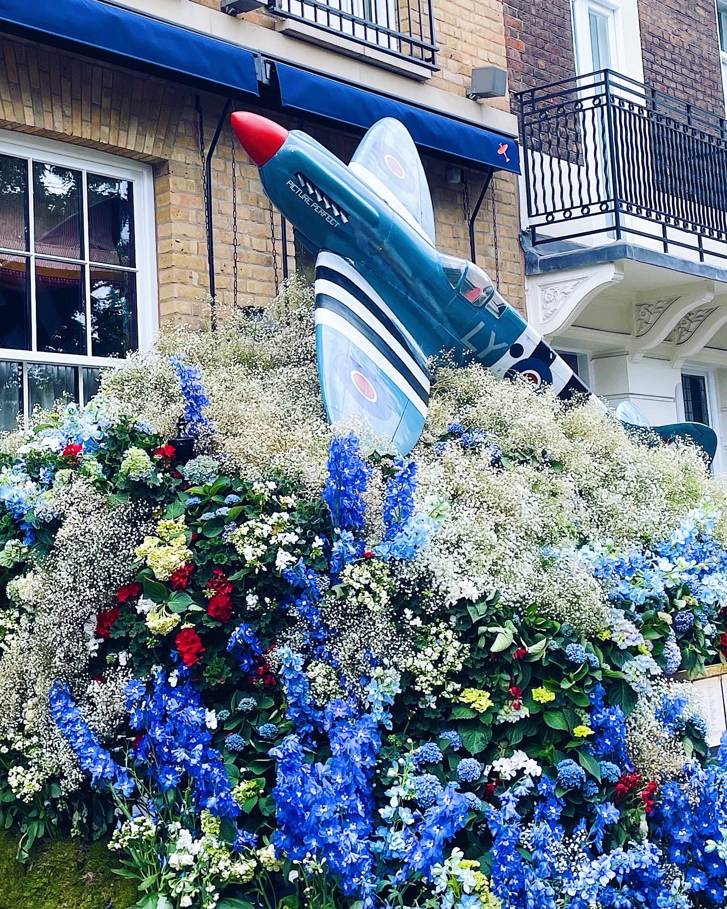 A blue plane bursting out of a floral display.