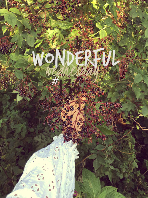 Wonderful Wednesday #136 