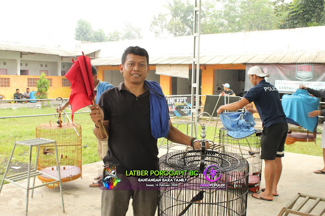 Murai batu Baret Milik Mas Jup Juara 1