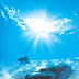 Om Surya Narayanaya Namo Namaha 4