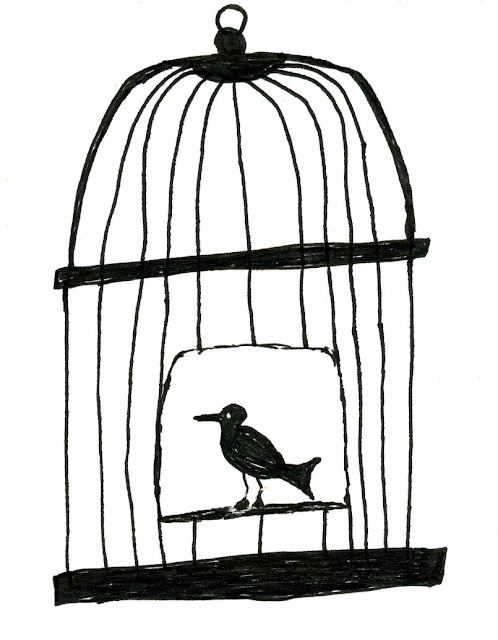 Cage Of Birds