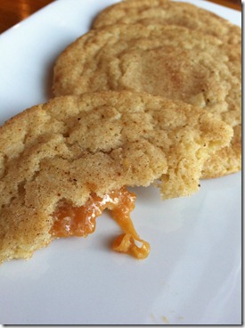 snickerdoodle 064