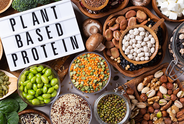 Vegan Protein, Plant-Based Protein, and Vegan Diet | ArticleEurope