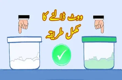 How to vote in the 2024 National Election of Pakistan ووٹ ڈالنے کا طریقہ
