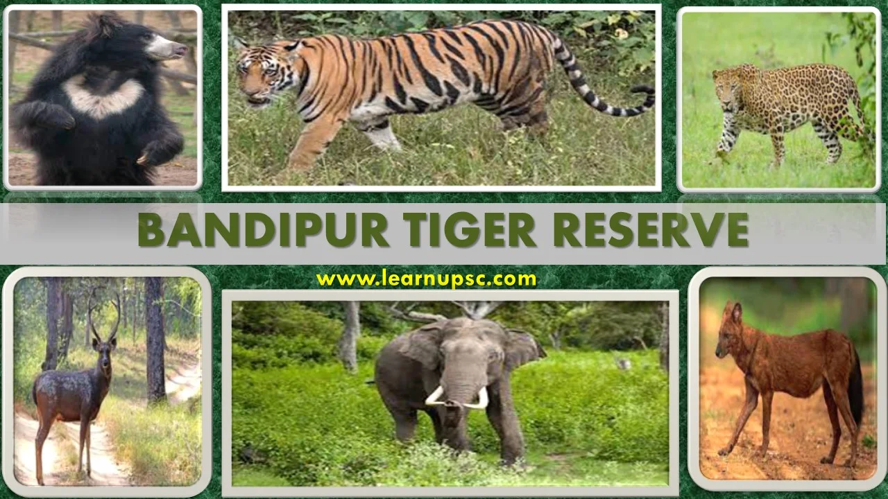 Bandipur Tiger Reserve