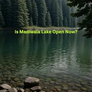 Is Madiwala Lake Open Now?