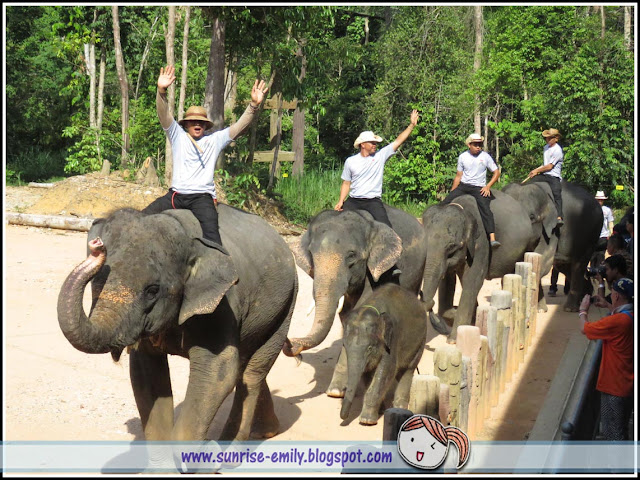 All about Elephants @ Kenyir Elephant Village, Terengganu