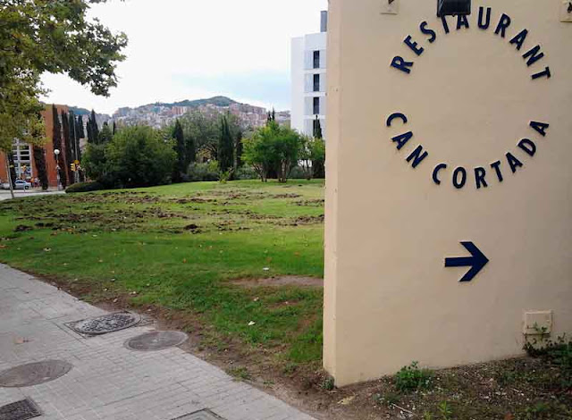 Terreno hozado por jabalíes en Barcelona