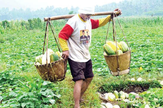 KOTA WALI KAMPUNG SANTRI BUAH  BLEWAH KOTA DEMAK