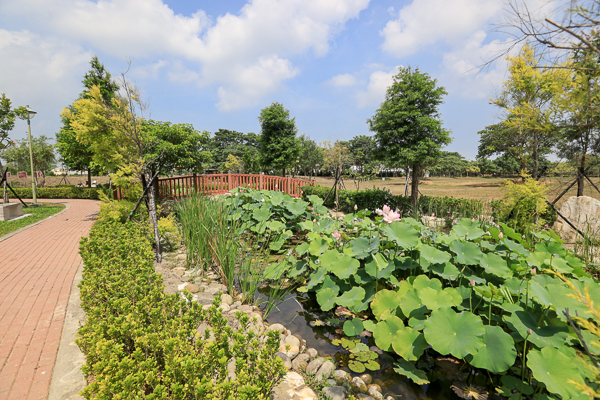 彰化秀水龍騰公園雄偉雙龍搶珠，還有小橋流水荷花池好好拍