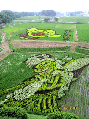 Japanese Rice Paddy Art 2010 Seen On www.coolpicturegallery.net