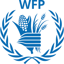 Programme Policy Officer Job Opportunities at WFP 2022