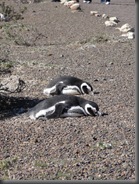 Sleeping