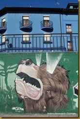 31-DSC_1568