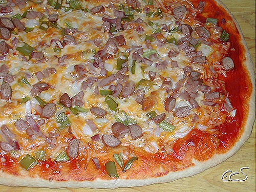 DSCN3955