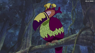 ワンピース アニメ 149話 サウスバード | ONE PIECE Episode 149