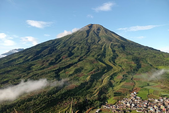 Gunung Sindoro dari sikatok