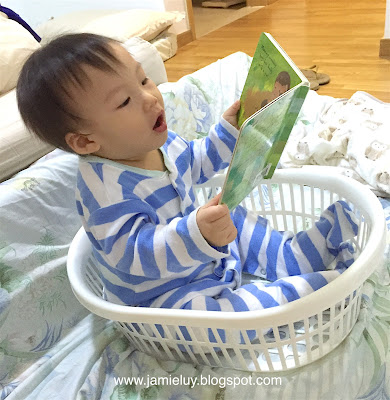 Baby reading a book