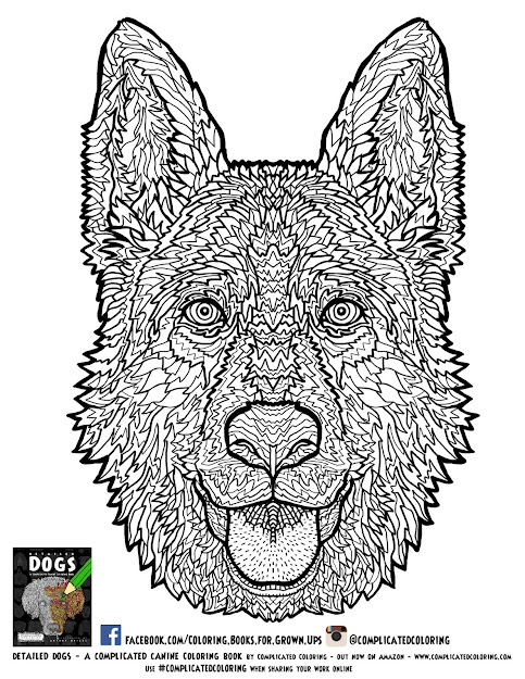  Plicatedcoloring  Source Intricate Coloring Pages 