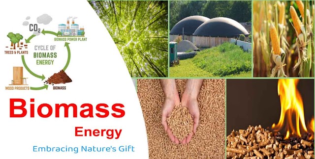  Embracing Nature's Gift: A Close Look at Biomass Energy | प्रकृति के उपहार को अपनाना: बायोमास ऊर्जा पर एक नज़दीकी नज़र