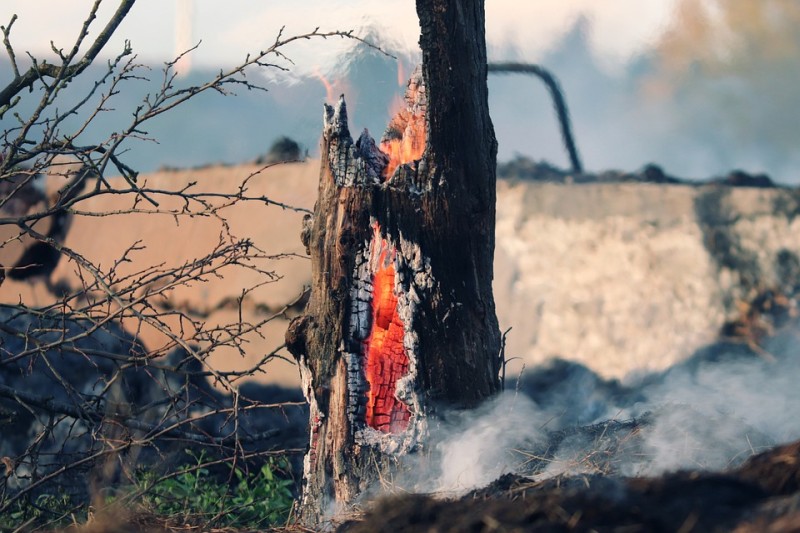 Los causantes de los incendios… ¿vándalos, incendiarios o pirómanos?