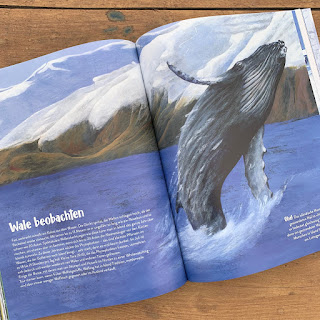 Kindersachbuch "Island - Das Land aus Feuer und Eis"