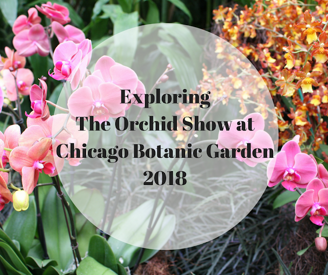 Exploring  Orchid Show at Chicago Botanic Garden 2018