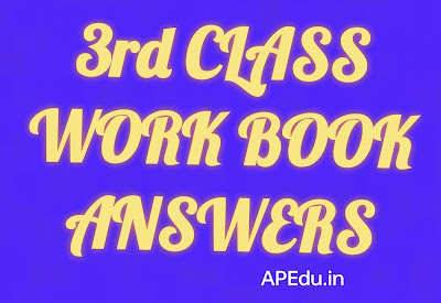 AP 3rd Class English Work Book - Answers