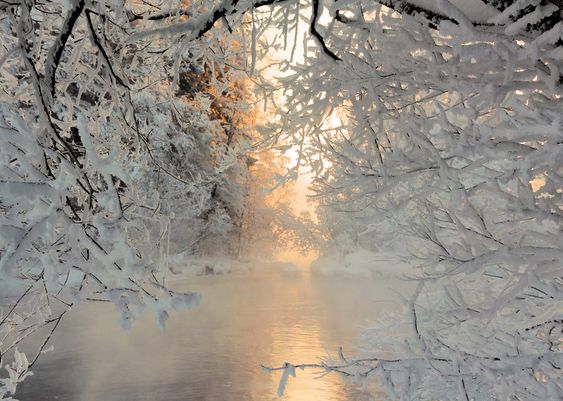 An image of a lake seen through snow laden tree branches, with the sun coming up and giving everything a warm glow.