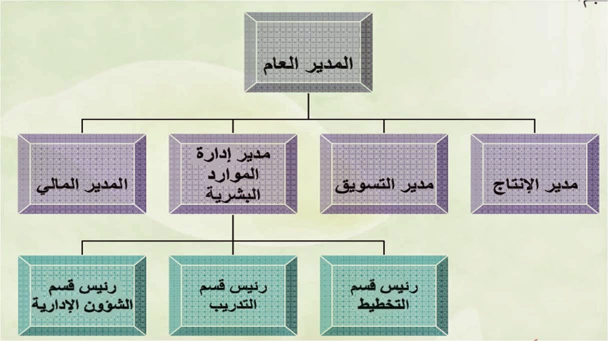 تصميم الهيكل التنظيمي Designing The Organizational Structure