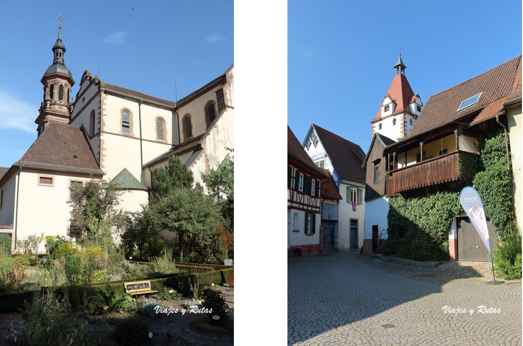 Iglesia de Sankt Marien, jardin de hierbas. Gengenbach